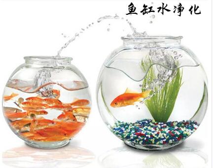 ~(y)ˮ|(zh)(zhun)û̿